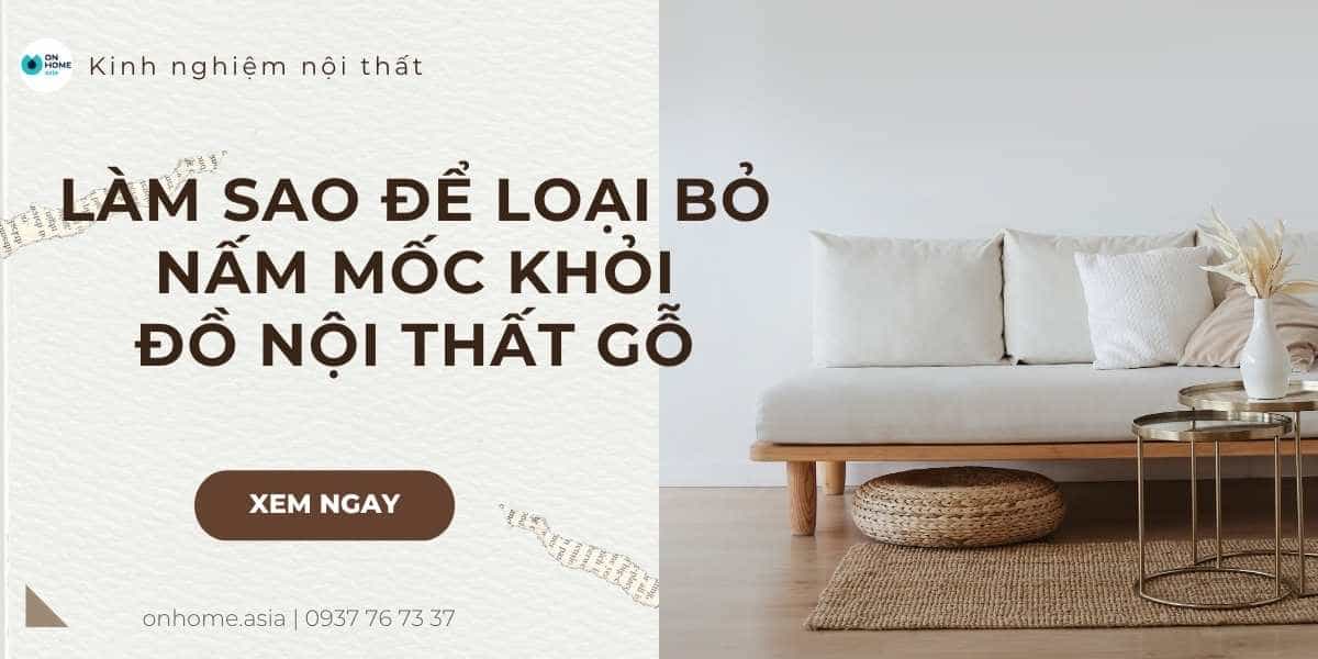 cách loại bỏ nấm mốc trên đồ nội thất gỗ