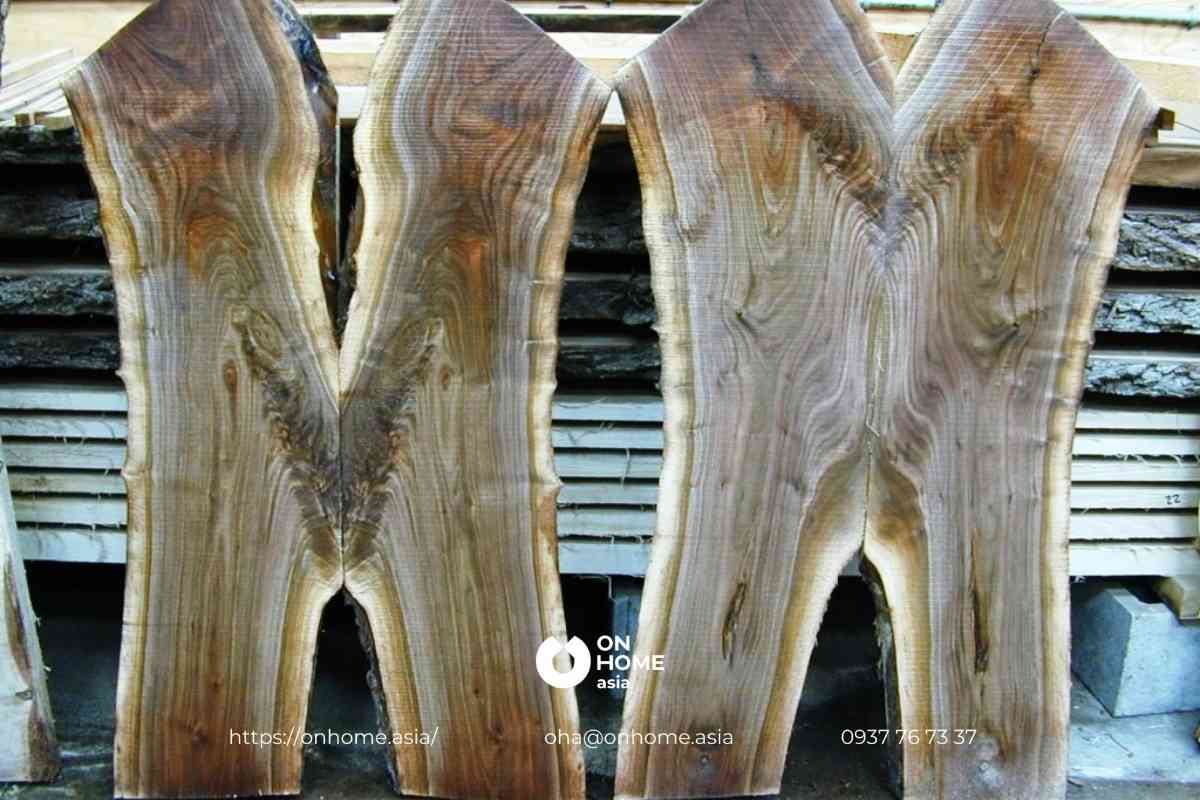 Óc Chó được chia thành nhiều loại khác nhau