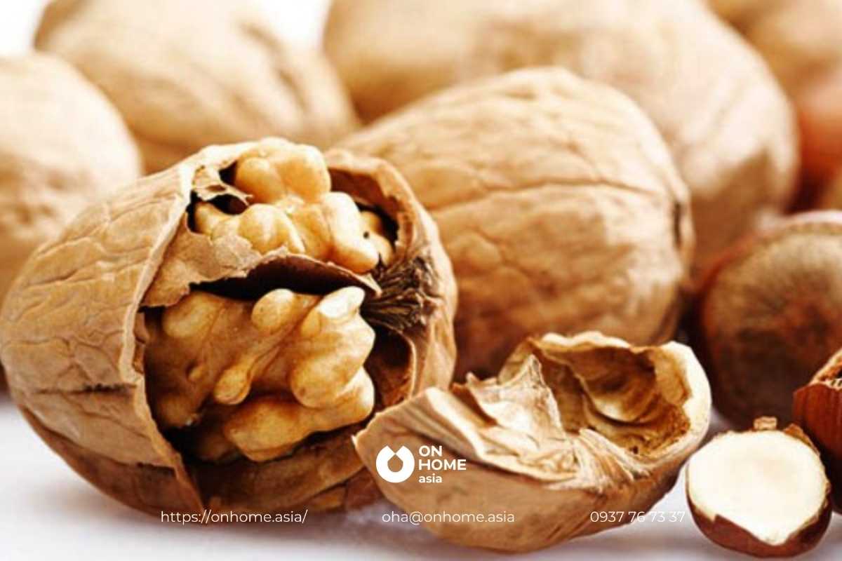 Qủa Óc Chó là một thức quả giàu dinh dưỡng