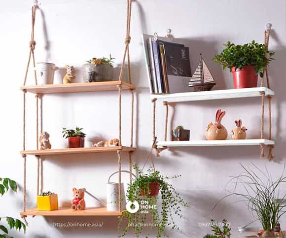 Kệ treo tường trang trí cây đẹp
