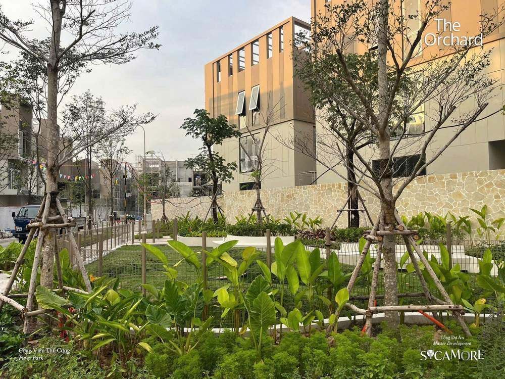 tien-do-sycamore-binh-duong-2025 (5)