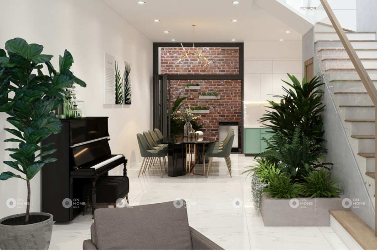 Thiết kế nội thất nhà phố 100m2 với những mảng xanh bắt mắt 