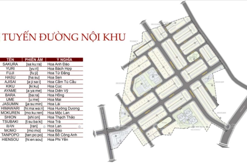 Mặt bằng tuyến đường nội khu