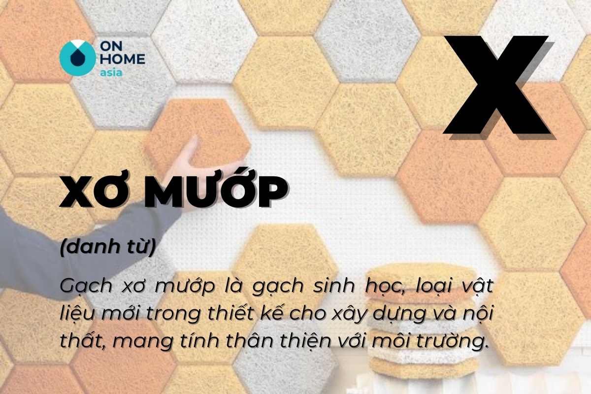 chữ X trong thiết kế thi công nội thất