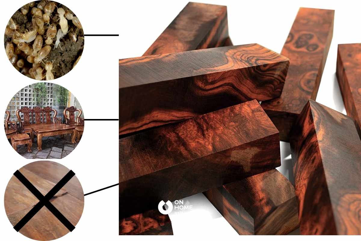 Gỗ Lim được đánh giá cao về độ bền