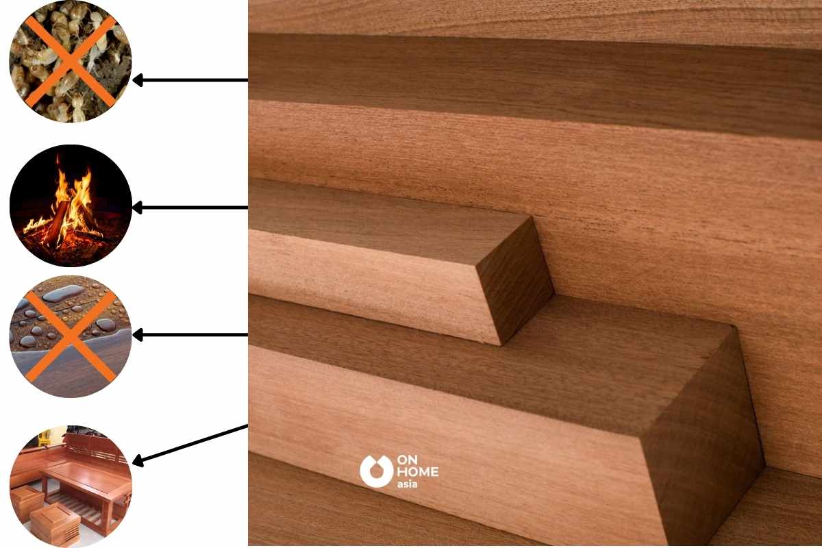 Gỗ Xoan Đào có khả năng chống mối mọt, chịu nhiệt