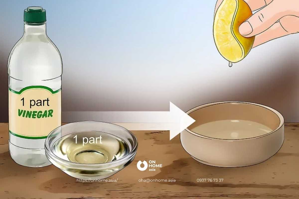 Pha loãng giấm trắng với dầu ô liu