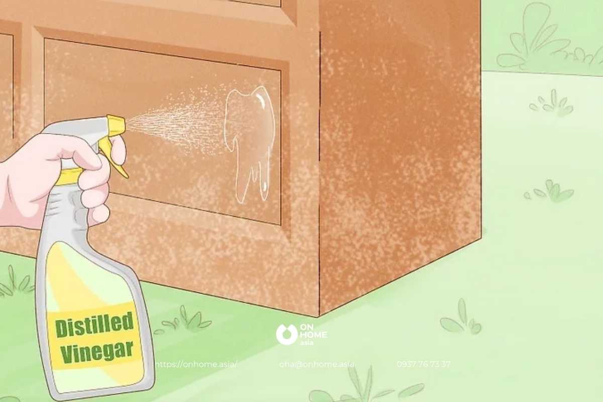 Sử dụng giấm chưng cất tẩy nấm mốc